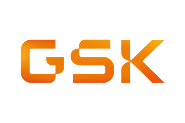 Gsk - Bumaq